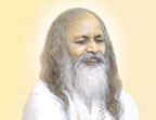 Maharishi Invincibility Center - - Enlightenment, Transcendental Meditation®