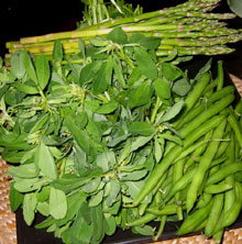 Green Beans, Fresh Fenugreek and Asparagus Are Great for Losing Weight