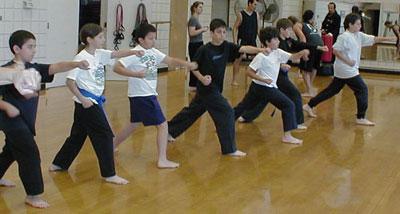 Group Kata Forms, Martial Arts for Chidren and Families in Santa Barbara