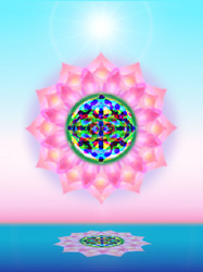 Shining Spirits - Vibrational Essence Therapy & Space Clearing in Ojai and Santa Barbara