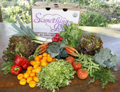 Organic vegetable and fruit delivery in Goleta & Santa Barbara 