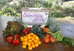 Organic vegetable and fruit delivery in Santa Barbara California